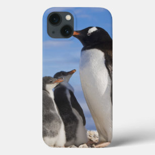 Coque Case-Mate iPhone Antarctique, Neko Cove (Port). Pingouin Gentoo 2