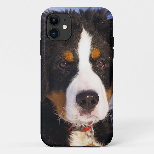 Coque Case-Mate iPhone Bernois Mountain Dog Pup iPhone 5 coque (Dos)