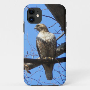 Coque Case-Mate iPhone Bird Of Prey iPhone 5 coque