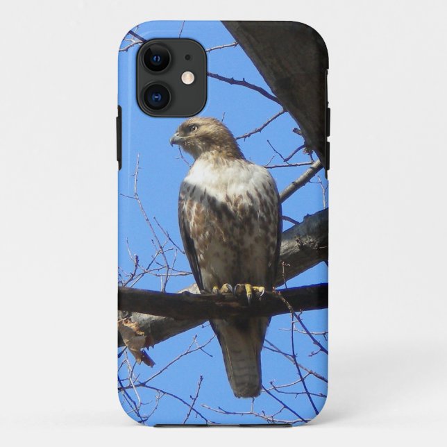 Coque Case-Mate iPhone Bird Of Prey iPhone 5 coque (Dos)