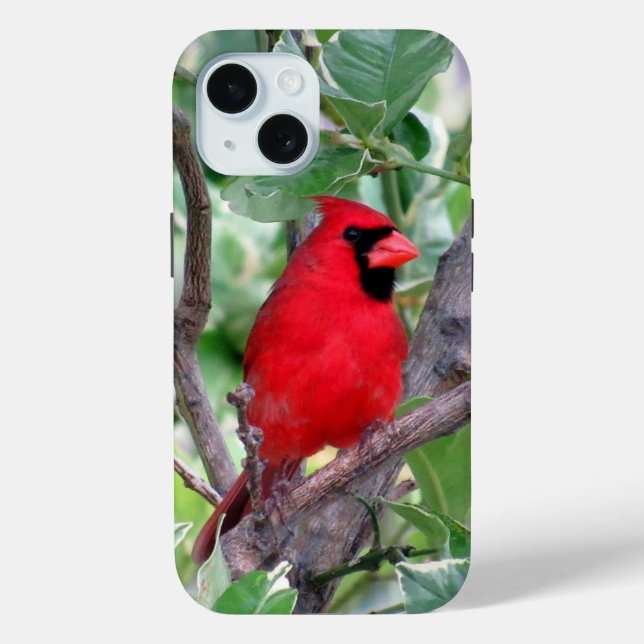 Coque Case-Mate iPhone Cardinal iPhone / coque ipad (Verso)