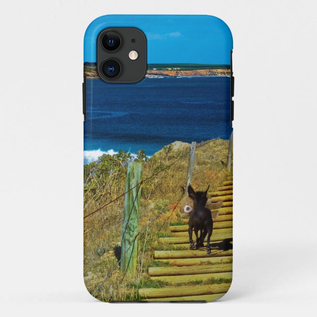Coque Case-Mate iPhone Chinois arrêté Chiot Steal Teddy iPhone Cinq Coque (Dos)