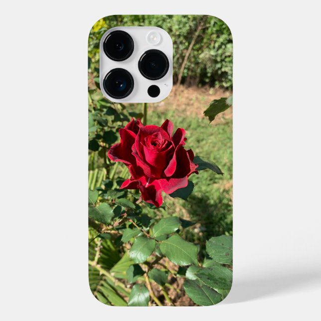 Coque Case-Mate iPhone Coque Deep Red Rose iPhone 14 Pro (Verso)