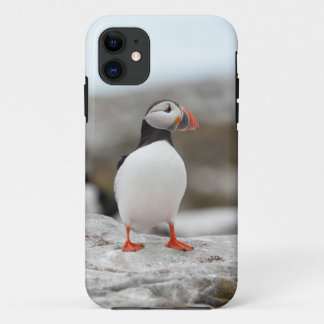 Coque Case-Mate iPhone Coque iphone 5 de macareux
