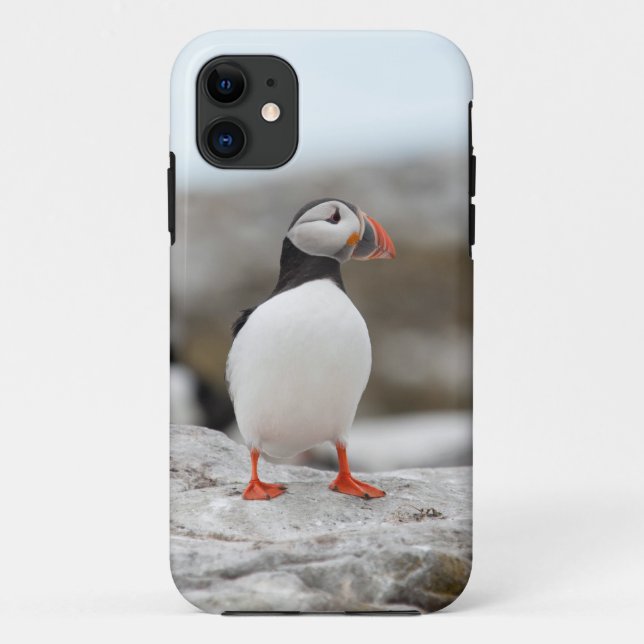 Coque Case-Mate iPhone Coque iphone 5 de macareux (Dos)