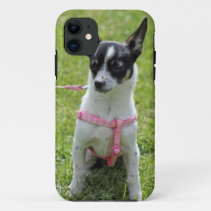 Coque Case-Mate iPhone coque iphone de chiwawa