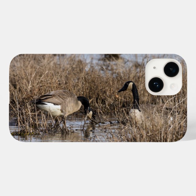 Coque Case-Mate iPhone Coque iphone de l'heure des collations d'oies cana (Verso (horizontal))