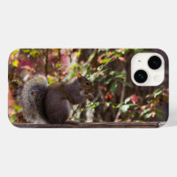 Coque iphone du temps de l'écureuil