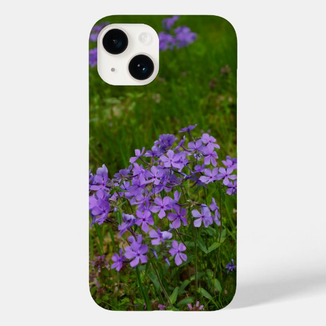 Coque Case-Mate iPhone Coque iphone Wild Blue Phlox (Verso)