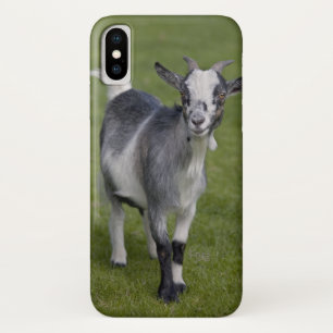 Coque Case-Mate iPhone Coque Pygmy chèvre iPhone X