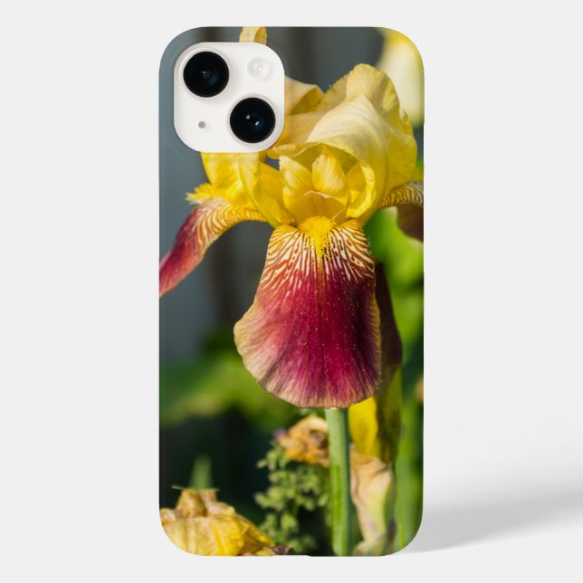 Coque Case-Mate iPhone Heirloom Iris coque iphone (Verso)