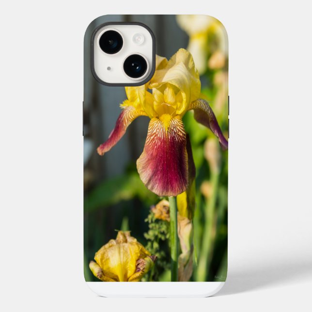 Coque Case-Mate iPhone Heirloom Iris coque iphone (Verso)