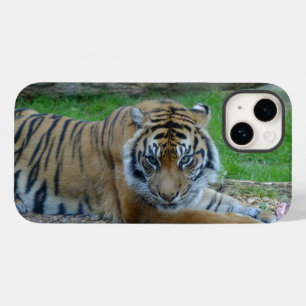 Coque Case-Mate iPhone iPhone Tiger's Gaze / coque ipad