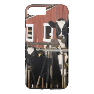 Coque Case-Mate iPhone Les Holsteins à la ferme marécageuse de pré dans