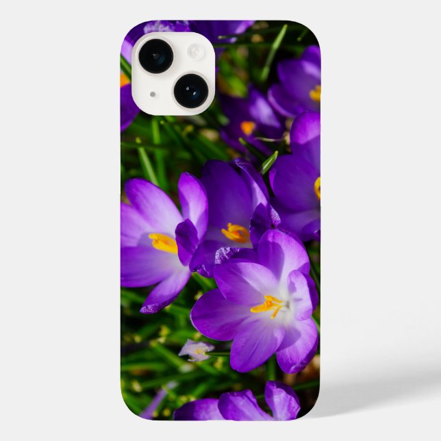 Coque Case-Mate iPhone Lilac Crocus coque iphone (Verso)