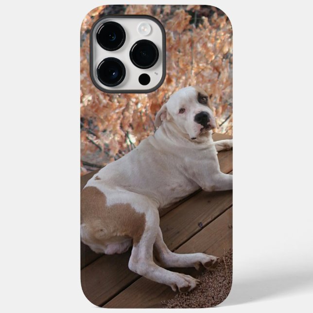Coque Case-Mate iPhone Pitbull Porch Chien coque iphone (Verso)