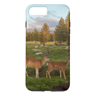 Coque Case-Mate iPhone Pré de Tuolumne, Yosemite