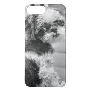 Coque Case-Mate iPhone Shih Tzu Girl iPhone 7 Plus Coque