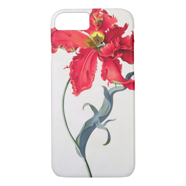 Coque Case-Mate iPhone Tulipe : Fard à joues de Perroquet (Dos)