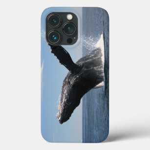 Coque Case-Mate iPhone Violation adulte de baleine de bosse