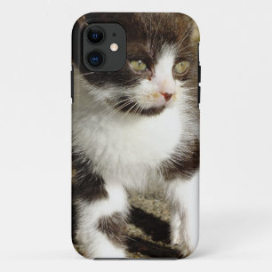 Coque Case-Mate Pour iPhone Baby Tuxedo Kitten - Cat iPhone 5 Coque