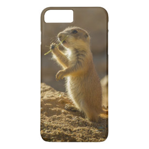 Coques Protections Chien De Prairie Pour Iphones Zazzle Fr