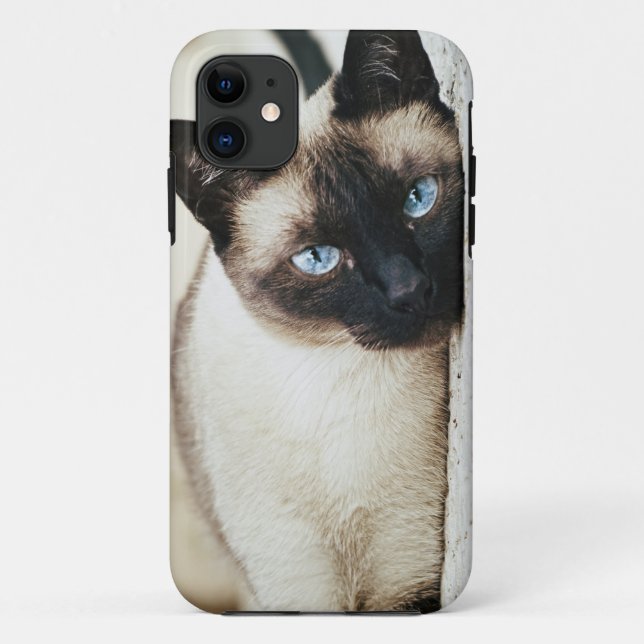 Coque Case-Mate Pour iPhone coque iphone de chat siamois (Dos)