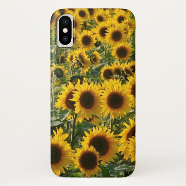 Coque Case-Mate Pour iPhone Coque iphone ensoleillé de tournesols (Dos)