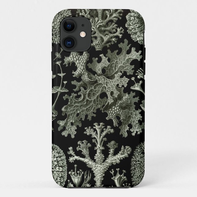 Coque Case-Mate Pour iPhone coque iphone Haeckel - Lichenes (Dos)
