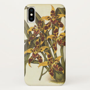Coque Case-Mate Pour iPhone Fleurs vintages Tropicales Odontoglossum Orchidées