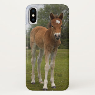 Coque Case-Mate Pour iPhone Foal iPhone X Coque