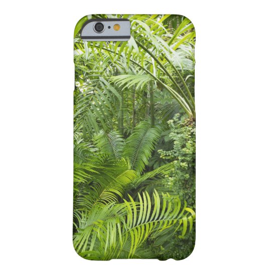 coque iphone 6 amazonie coque iphone 6 amazonie
