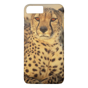 coque iphone 8 guepard