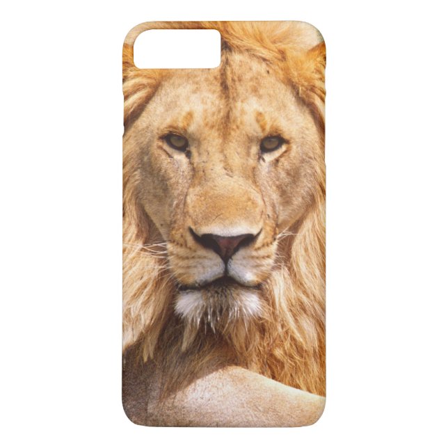Coque Case-Mate Pour iPhone Paires de lions africains, Panthera Lion, Tanzanie (Dos)