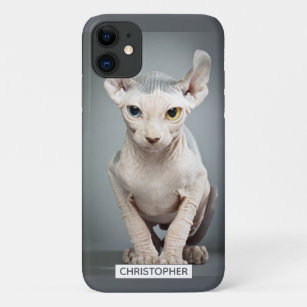 Cadeaux Race De Sphynx Zazzle Fr Cadeaux Race De Sphynx Zazzle Fr