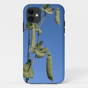Coque Case-Mate Pour iPhone Pois de neige sur Blue Sky iPhone 5 Coque