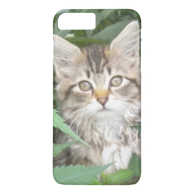Coque Case-Mate Pour iPhone Tabby Kitten iPhone 7 plus coque (Dos)