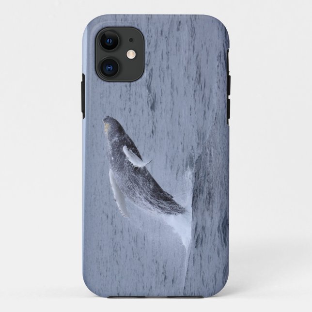 Coque Case-Mate Pour iPhone Violation de baleine de bosse de Coque-compagnon (Dos)