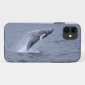 Coque Case-Mate Pour iPhone Violation de baleine de bosse de Coque-compagnon (Dos (Horizontal))