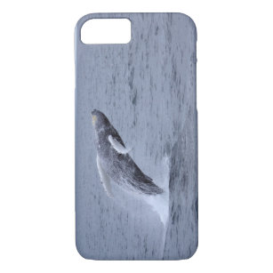 Coque Case-Mate Pour iPhone Violation de baleine de bosse de Coque-compagnon