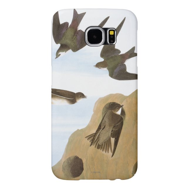 Coque Casemate Pour Samsung Galaxy Audubon : Hirondelles (Dos)