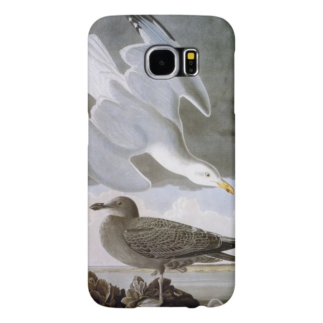 Coque Casemate Pour Samsung Galaxy Audubon : Mouette d'harengs (Dos)