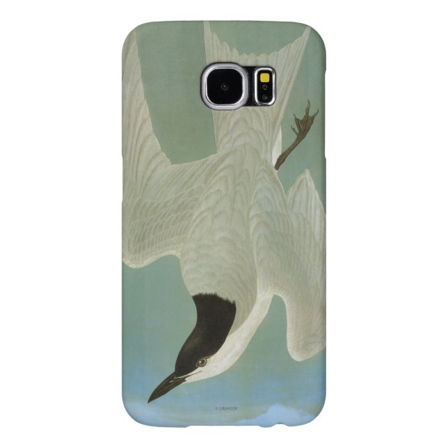 Coque Casemate Pour Samsung Galaxy Audubon : Sterne Mouette-Affichée (Dos)