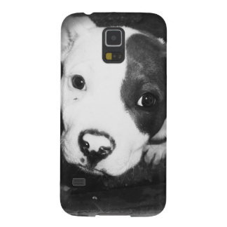 Coque Pour Samsung Galaxy S5 Chiot bleu de Pitbull de nez