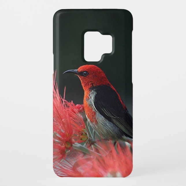 Coque Casemate Pour Samsung Galaxy Scarlet Honeyeater Photo (Dos)