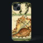 Coque conique Silhouette<br><div class="desc">Restez détendu avec cette pièce d'art contemporain de Jennifer Goldberger. Sa collection d'art de coquillages est relaxante et inspirante. Cette oeuvre d'art se concentre sur un grand coquillage de Conch entouré de récif corallien vert. Obtenez ce magnifique art océanique aujourd'hui avec une sensation de silhouette sur votre prochain produit.</div>
