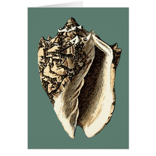 Coque conique turquoise (Devant)