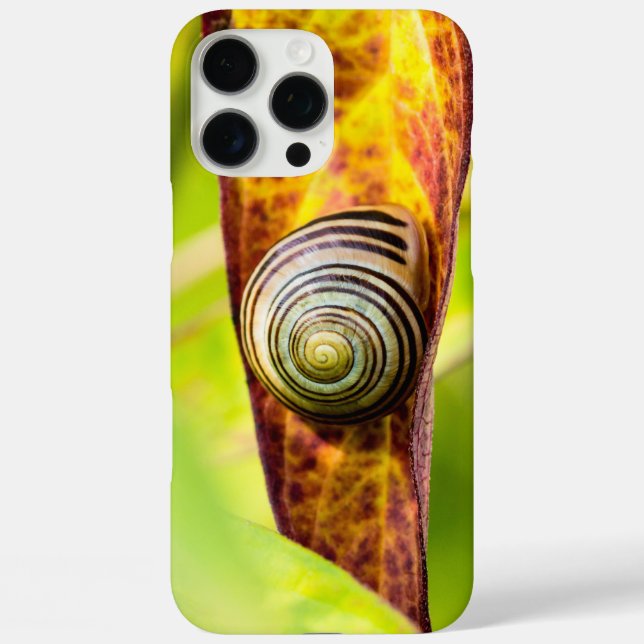 coque d'attachement calme-coque iphone d'accouplem (Verso)