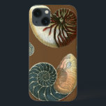 Coque de cacao<br><div class="desc">Obtenez cette image unique de coquillage Conch rouge et bleu pilé en pierre sur votre prochain produit. Cet extraordinaire cacao arrière - plan ces deux coquillages uniques. Emmenez la plage avec vous partout où vous allez.</div>