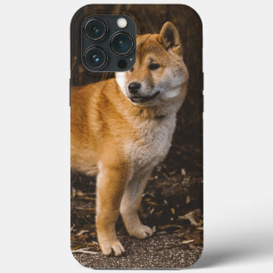 Coque de chien-coque iphone